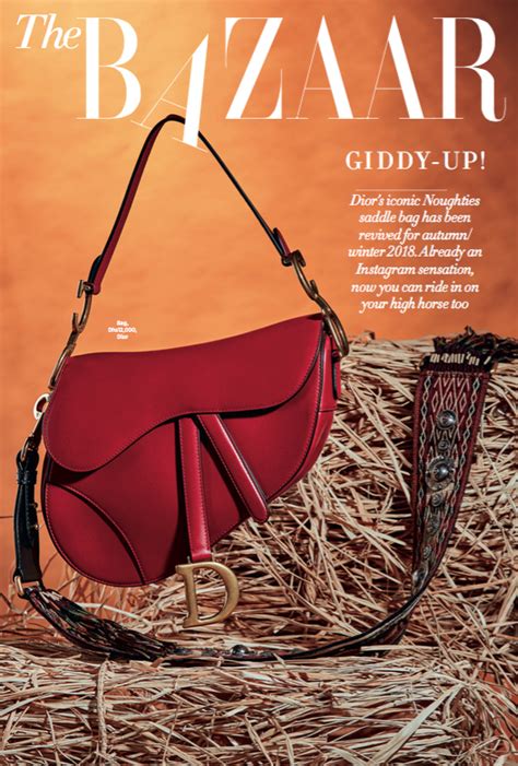 dior saddle bag harper's bazaar